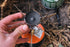 Soto WindMaster OD-1RXN w/ micro regulator stove 防風爐連四腳架